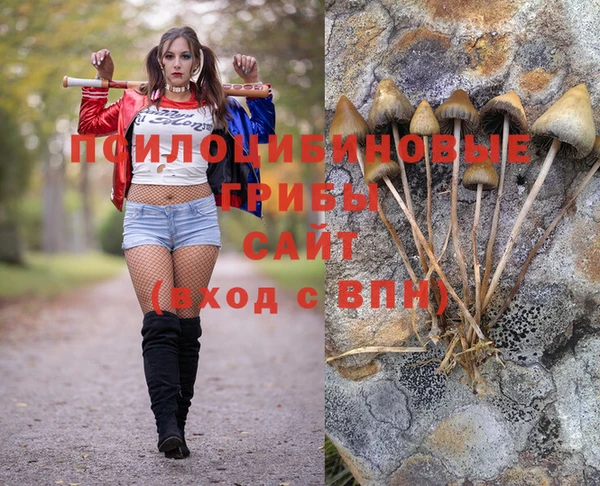 скорость Лиски