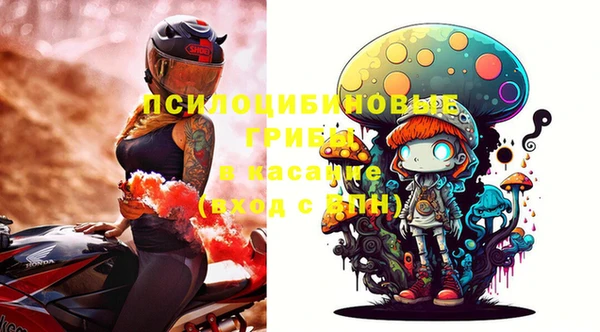 эйфоретик Лабытнанги