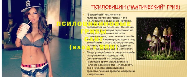 скорость Лиски