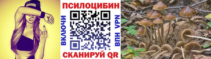 Псилоцибиновые грибы ЛСД  Купить где  Москва 
